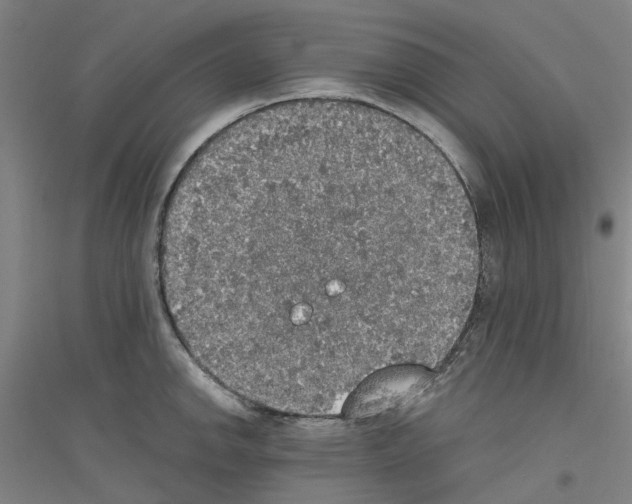 X0000116831142201001291638