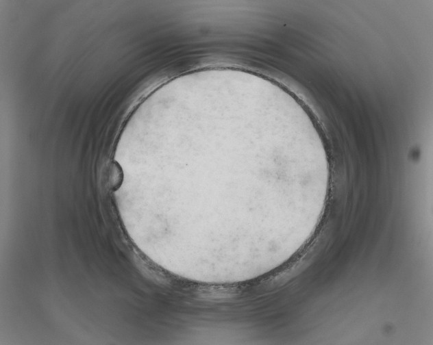 X0000116831145201001291638