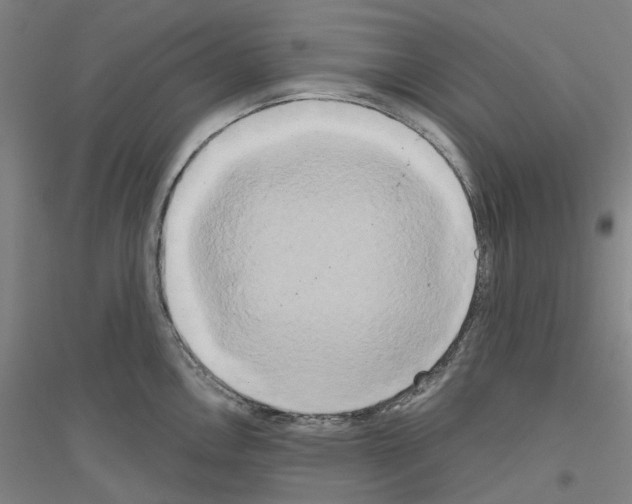 X0000116831146201001291638