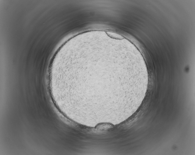 X0000116831147201001291638