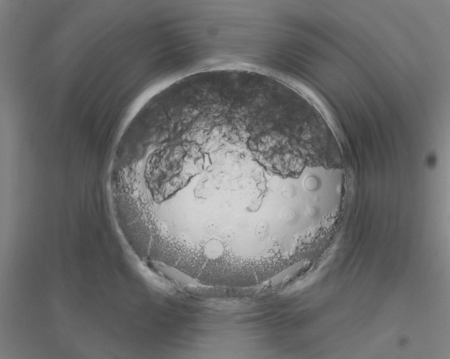 X0000116831149201001291638