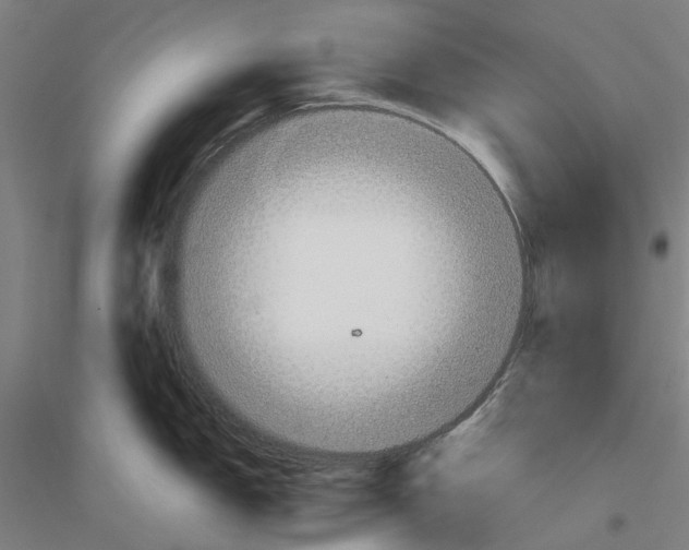 X0000116831150201001291638