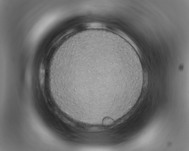 X0000116831151201001291638