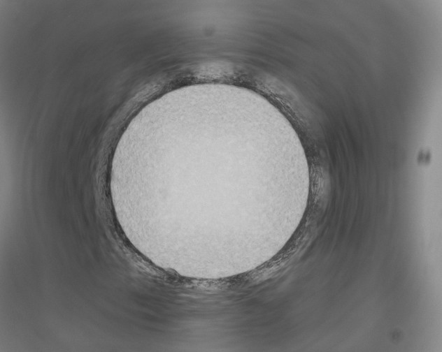 X0000116831153201001291637