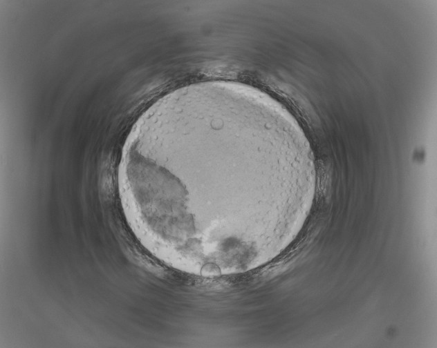 X0000116831154201001291637