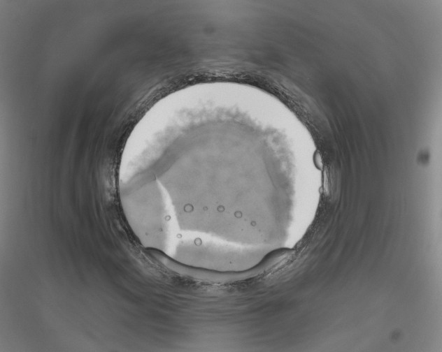 X0000116831155201001291637