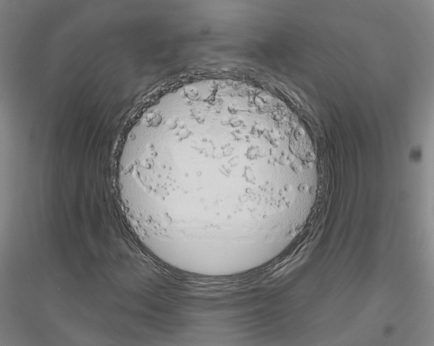 X0000116831156201001291637