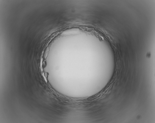 X0000116831157201001291637