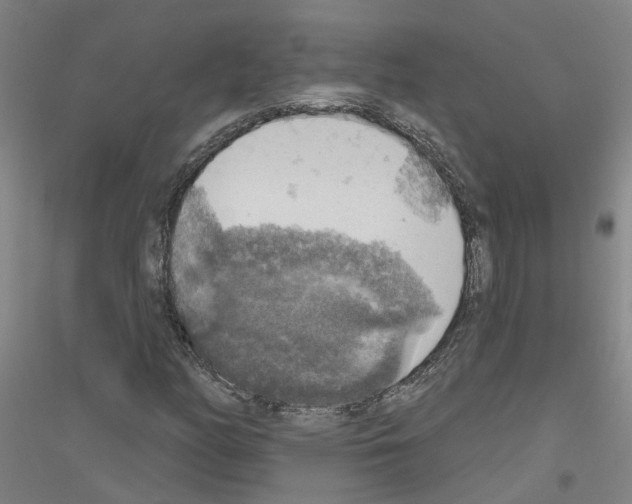 X0000116831158201001291637