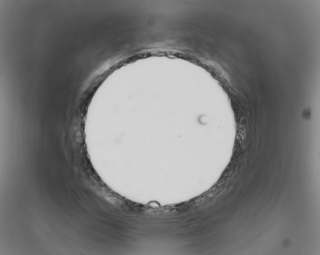 X0000116831159201001291637