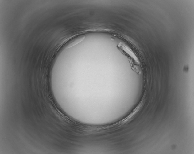 X0000116831161201001291637