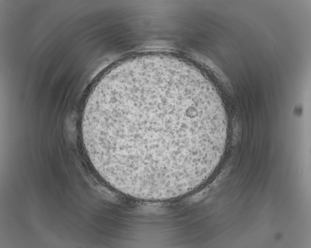 X0000116831162201001291637