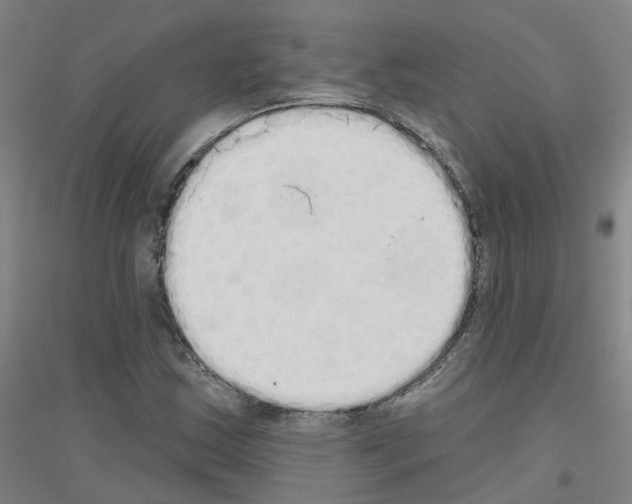 X0000116831163201001291637