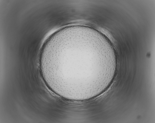 X0000116831164201001291637