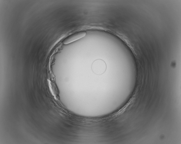 X0000116831165201001291637