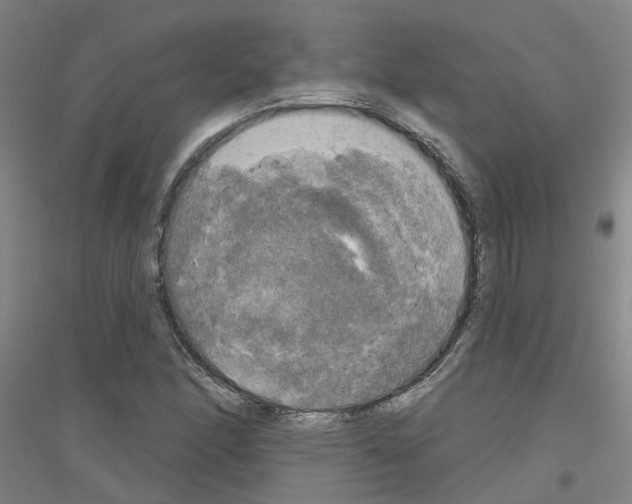 X0000116831166201001291637