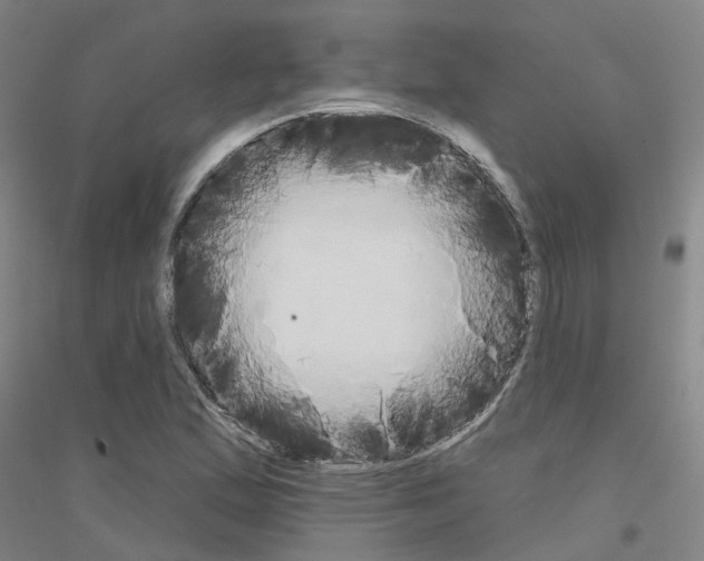 X0000116831167201001291637