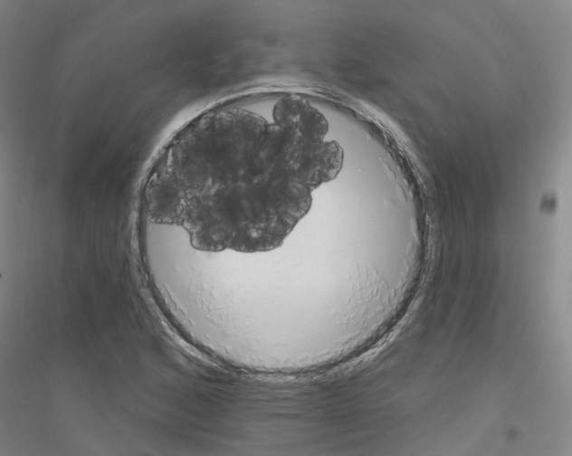 X0000116831168201001291637