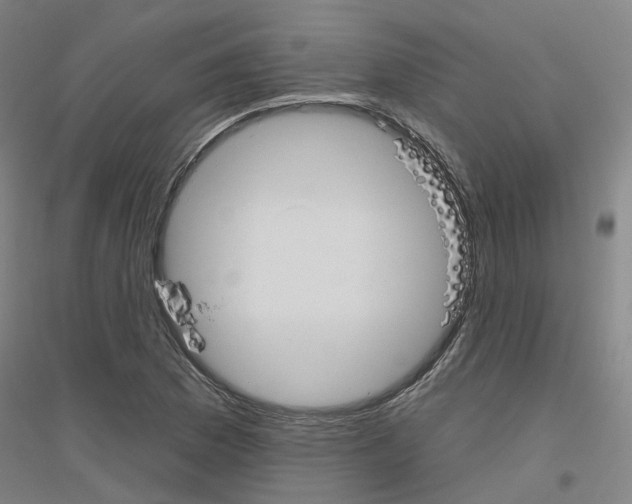 X0000116831169201001291637