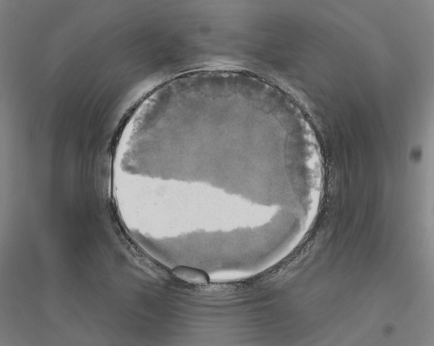 X0000116831171201001291637