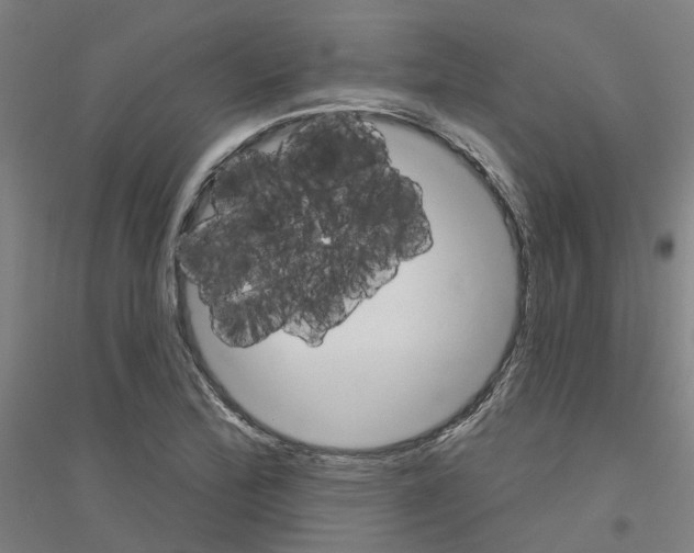 X0000116831172201001291637