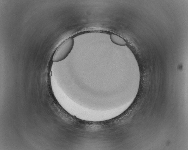 X0000116831173201001291637