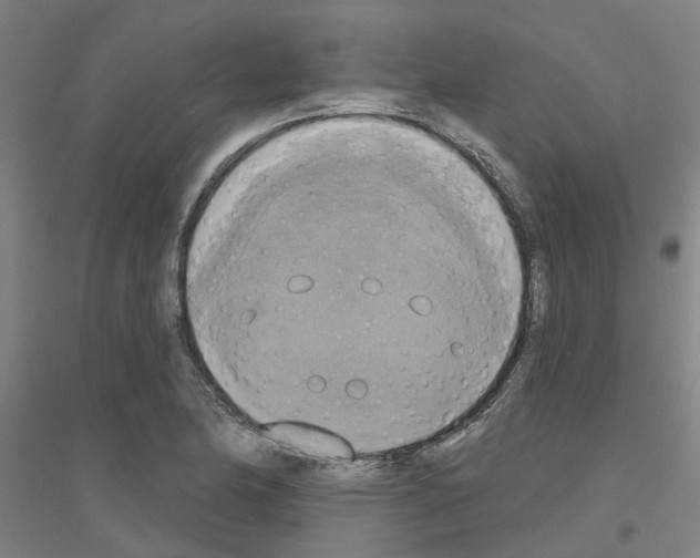 X0000116831174201001291637