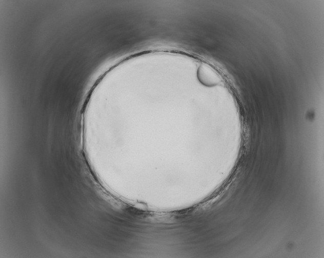 X0000116831175201001291637