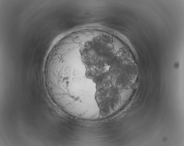 X0000116831176201001291637