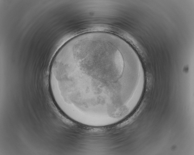 X0000116831178201001291637