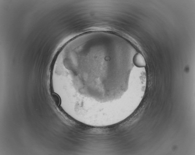 X0000116831179201001291637