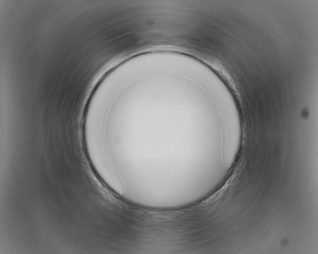 X0000116831181201001291637