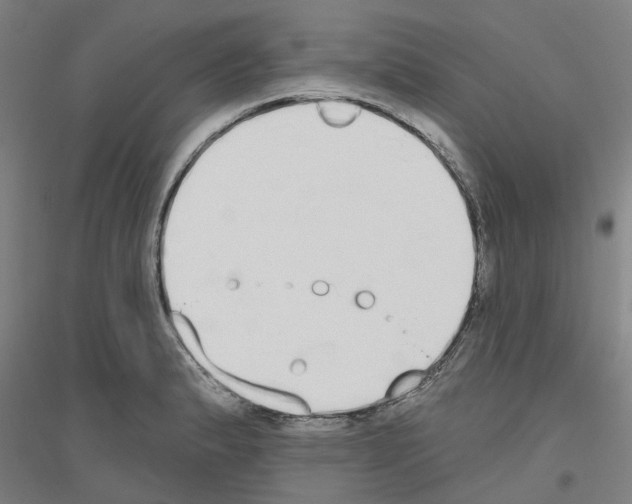 X0000116831183201001291637