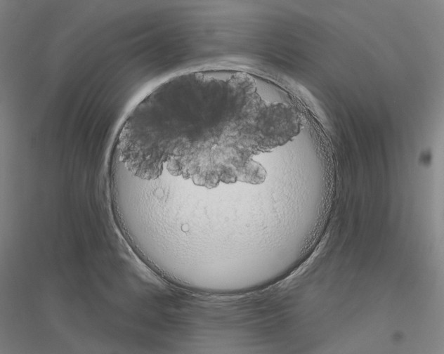 X0000116831184201001291637