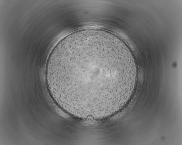 X0000116831186201001291637