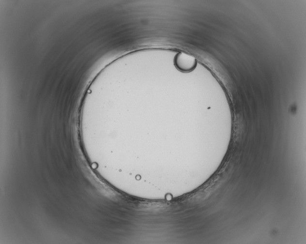 X0000116831187201001291637