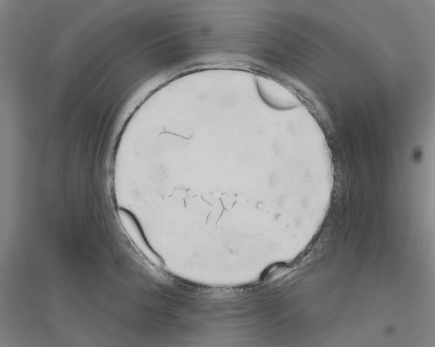 X0000116831188201001291637