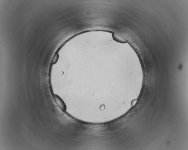 X0000116831189201001291637