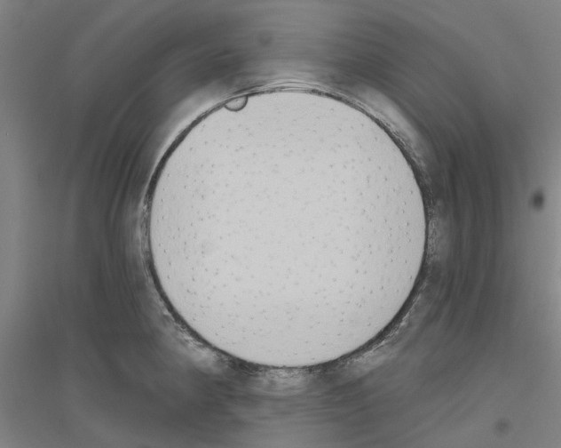 X0000116831190201001291636