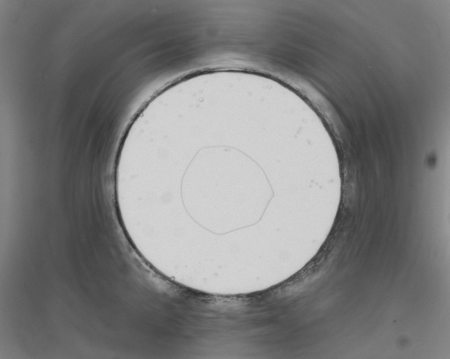 X0000116831191201001291636