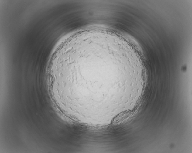 X0000116831192201001291636