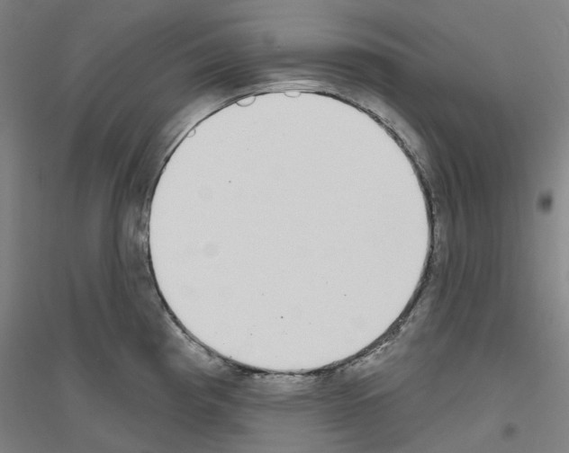 X0000116831193201001291636