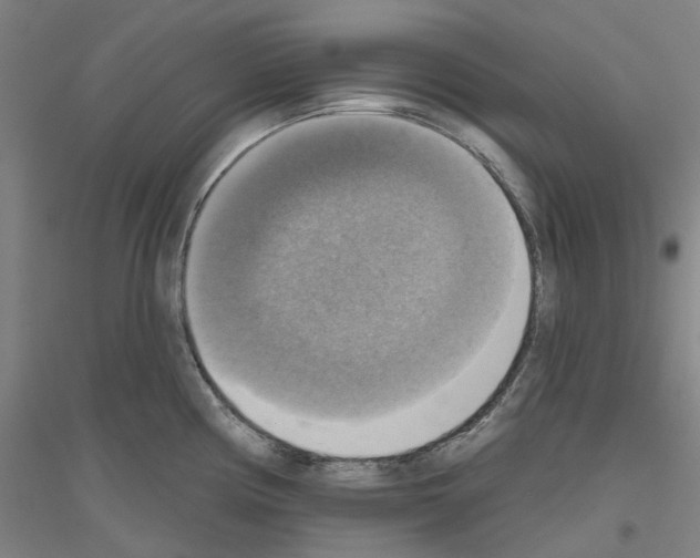 X0000116831194201001291636