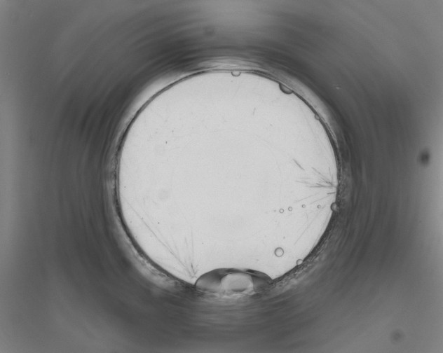 X0000116831195201001291636