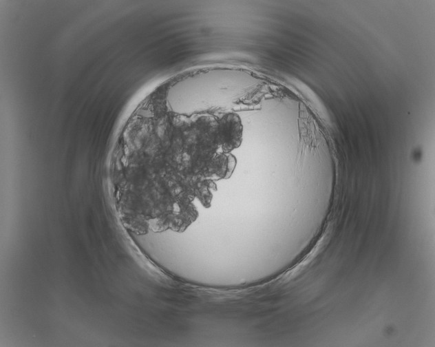 X0000116831196201001291636