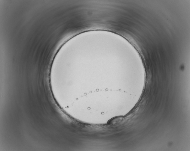 X0000116831197201001291636