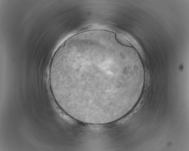 X0000116831198201001291636