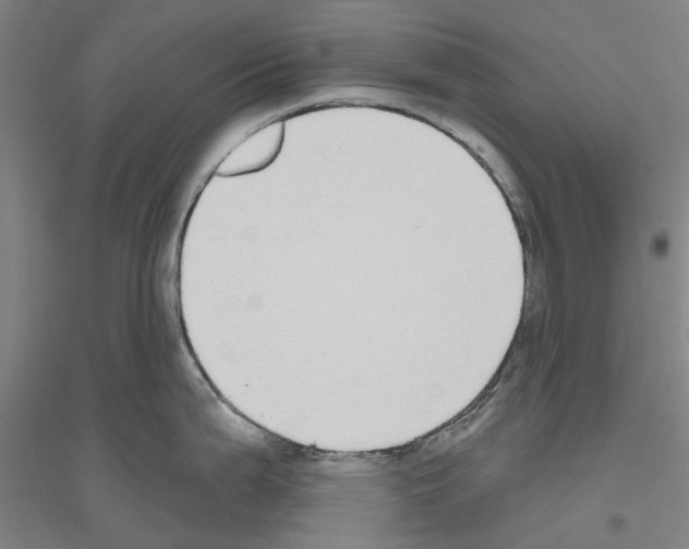 X0000116831199201001291636