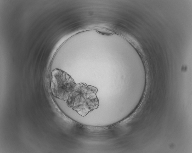 X0000116831200201001291636