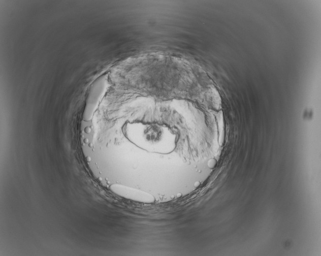 X0000116831201201001291636